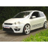 Ford Fiesta MK6 ib