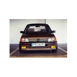 Peugeot 205 S2