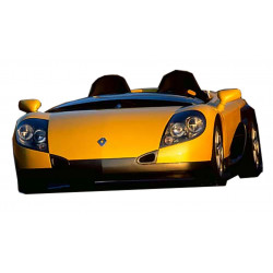 Renault Spider